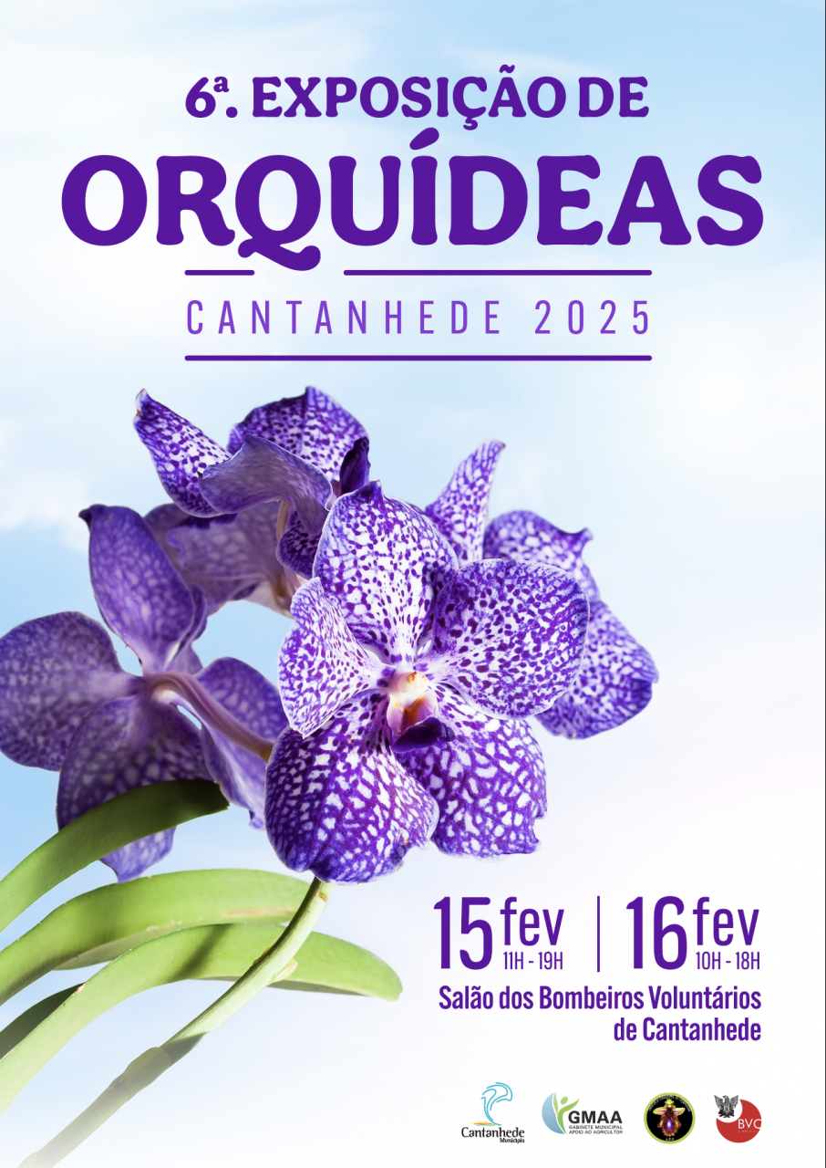 6.&ordf; Exposi&ccedil;&atilde;o de Orqu&iacute;deas
